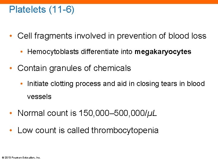 Platelets (11 -6) • Cell fragments involved in prevention of blood loss • Hemocytoblasts