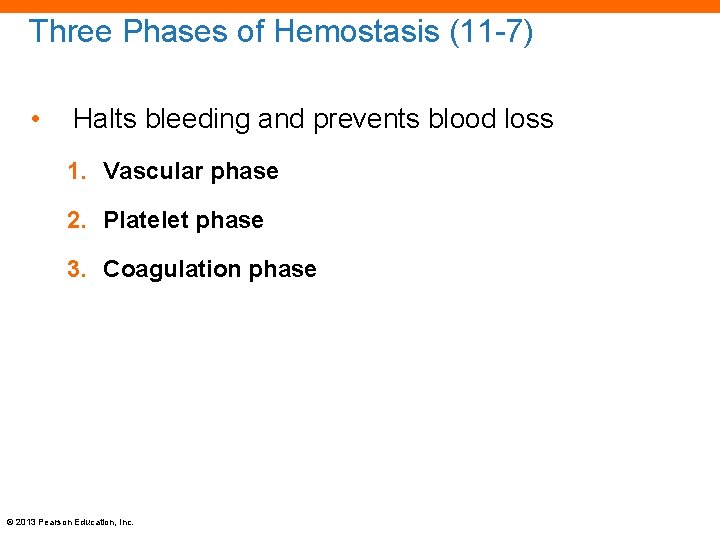 Three Phases of Hemostasis (11 -7) • Halts bleeding and prevents blood loss 1.