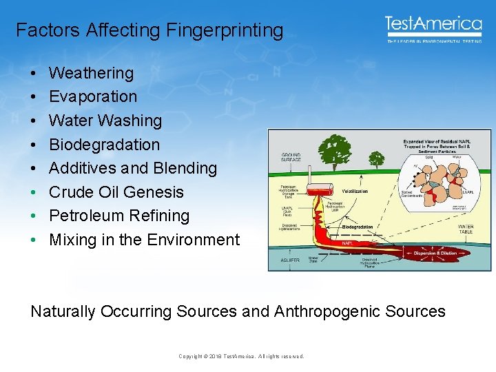 Factors Affecting Fingerprinting • • Weathering Evaporation Water Washing Biodegradation Additives and Blending Crude