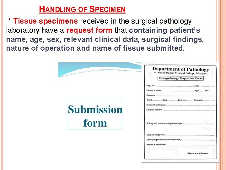 HANDLING OF SPECIMEN * Tissue specimens received in the surgical pathology laboratory have a