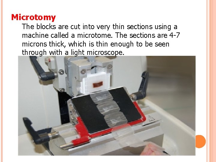 Microtomy The blocks are cut into very thin sections using a machine called a