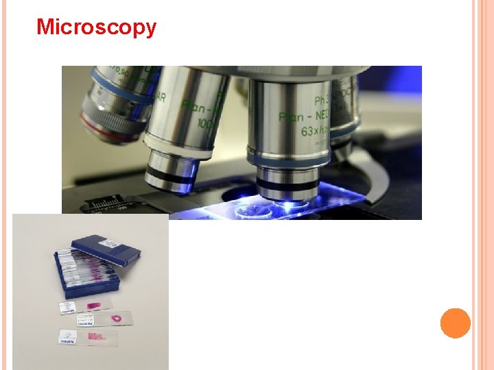Microscopy 
