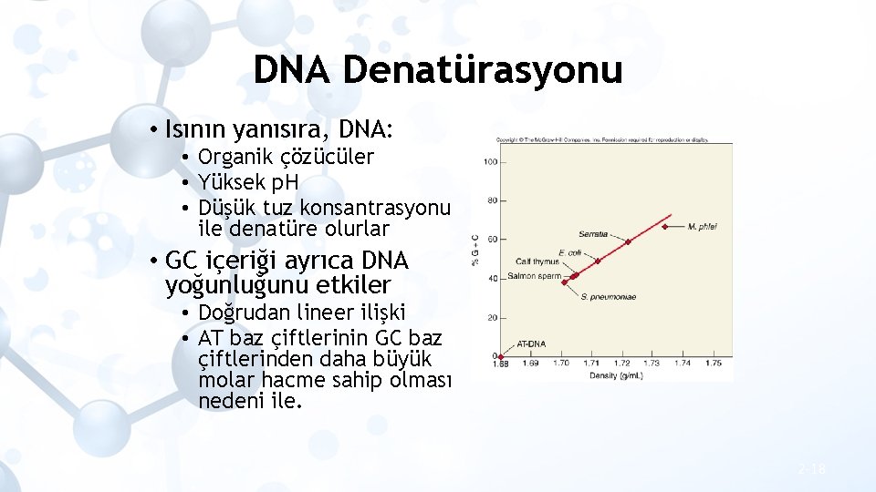 DNA Denatürasyonu • Isının yanısıra, DNA: • Organik çözücüler • Yüksek p. H •