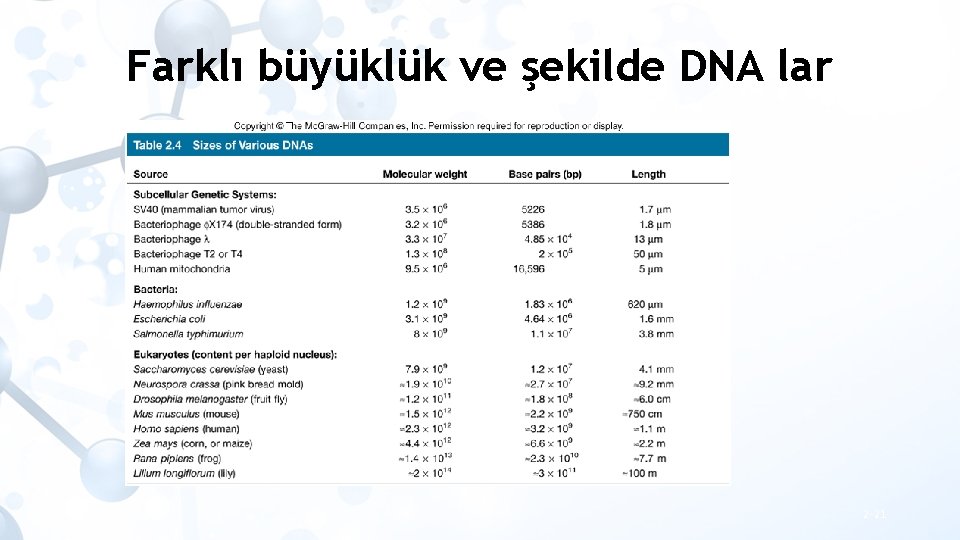 Farklı büyüklük ve şekilde DNA lar 2 -21 