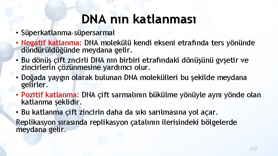 DNA nın katlanması • Süperkatlanma-süpersarmal • Negatif katlanma: DNA molekülü kendi ekseni etrafında ters