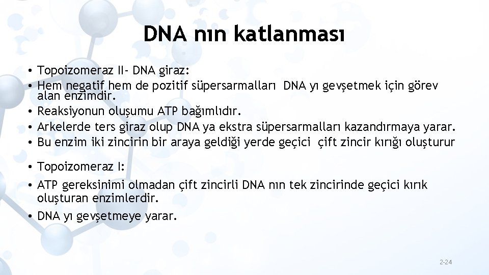 DNA nın katlanması • Topoizomeraz II- DNA giraz: • Hem negatif hem de pozitif