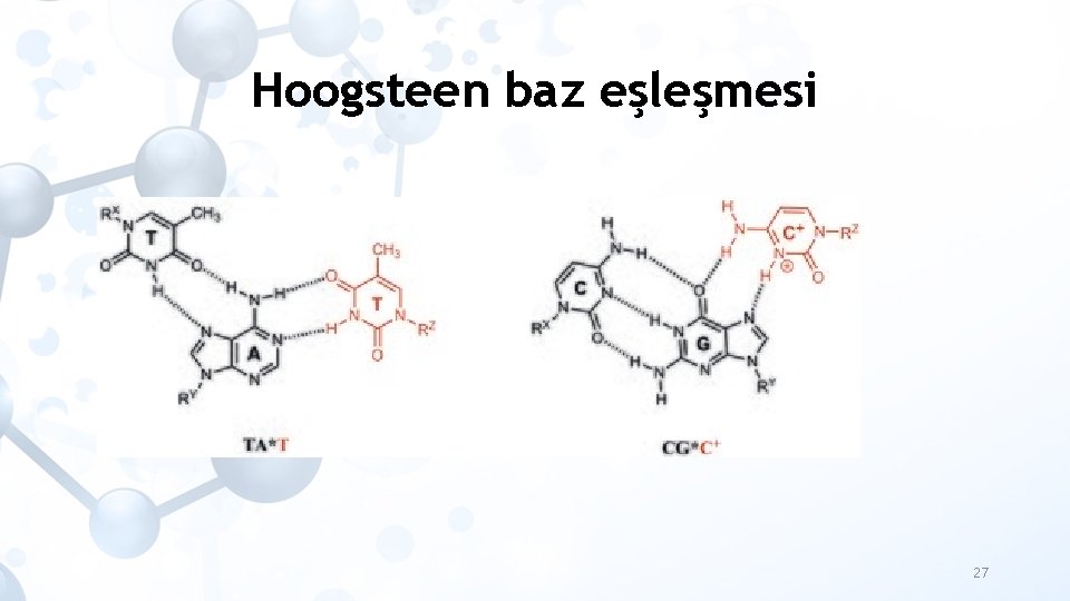 Hoogsteen baz eşleşmesi 27 