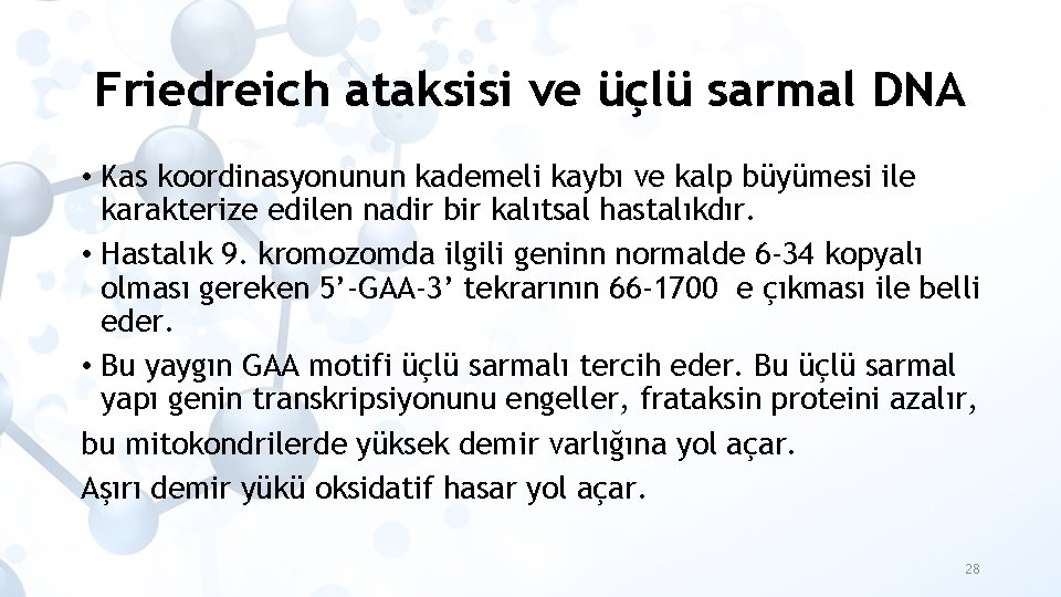 Friedreich ataksisi ve üçlü sarmal DNA • Kas koordinasyonunun kademeli kaybı ve kalp büyümesi