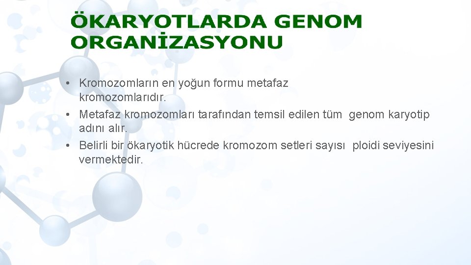  • Kromozomların en yoğun formu metafaz kromozomlarıdır. • Metafaz kromozomları tarafından temsil edilen