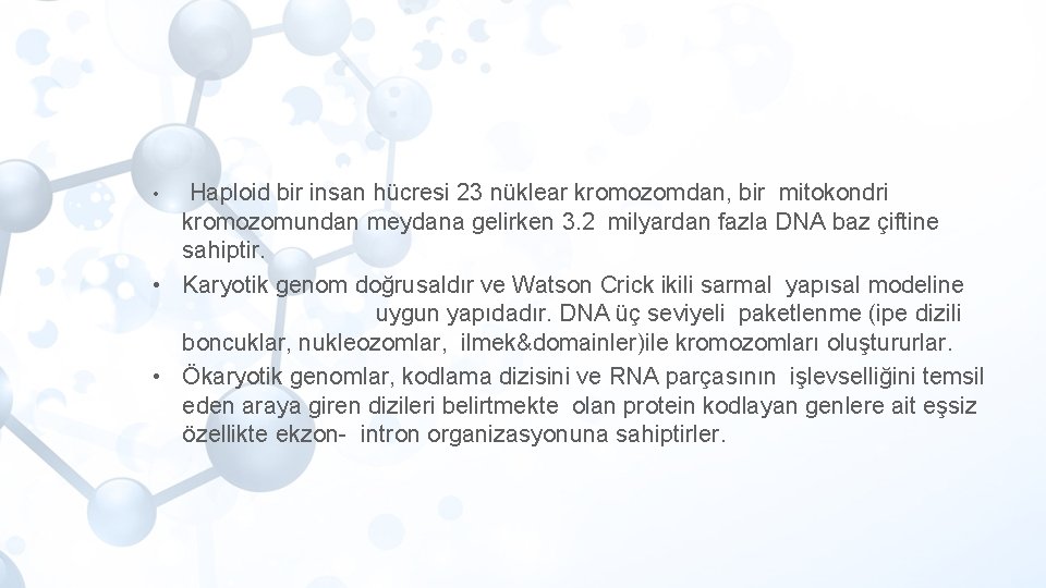 Haploid bir insan hücresi 23 nüklear kromozomdan, bir mitokondri kromozomundan meydana gelirken 3. 2