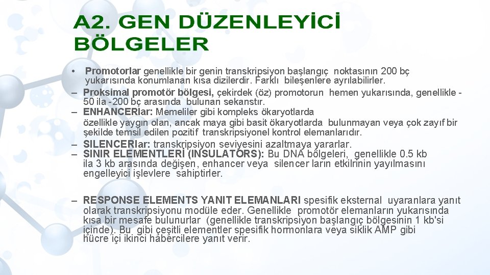  • Promotorlar genellikle bir genin transkripsiyon başlangıç noktasının 200 bç yukarısında konumlanan kısa