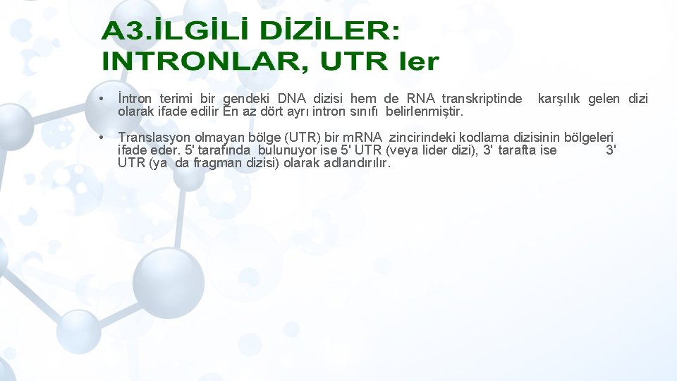  • İntron terimi bir gendeki DNA dizisi hem de RNA transkriptinde olarak ifade