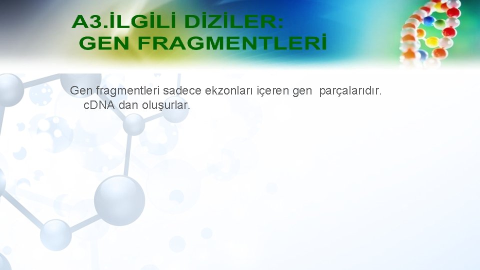 Gen fragmentleri sadece ekzonları içeren gen parçalarıdır. c. DNA dan oluşurlar. 