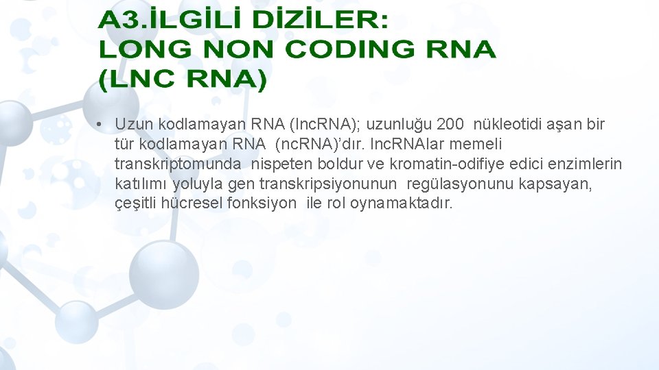  • Uzun kodlamayan RNA (lnc. RNA); uzunluğu 200 nükleotidi aşan bir tür kodlamayan