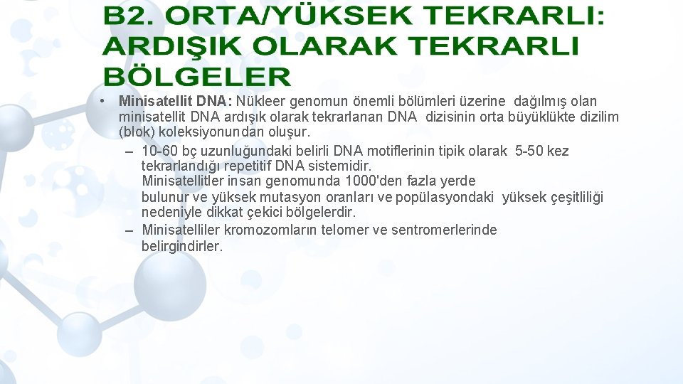  • Minisatellit DNA: Nükleer genomun önemli bölümleri üzerine dağılmış olan minisatellit DNA ardışık