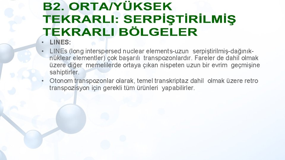  • LINES: • LINEs (long interspersed nuclear elements-uzun serpiştirilmiş-dağınıknüklear elementler) çok başarılı transpozonlardır.