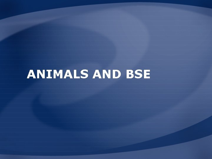 ANIMALS AND BSE 