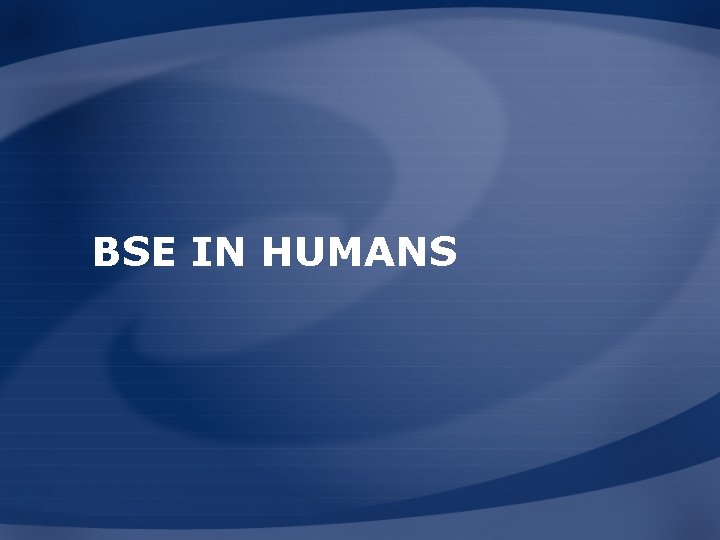 BSE IN HUMANS 