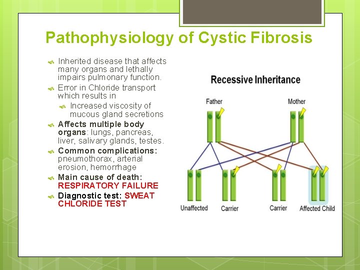 Pathophysiology of Cystic Fibrosis Inherited disease that affects many organs and lethally impairs pulmonary