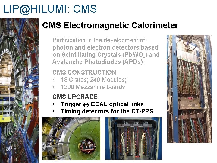 LIP@HILUMI: CMS Electromagnetic Calorimeter Participation in the development of photon and electron detectors based