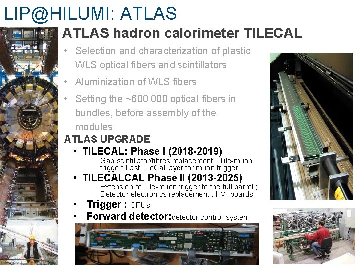 LIP@HILUMI: ATLAS hadron calorimeter TILECAL • Selection and characterization of plastic WLS optical fibers