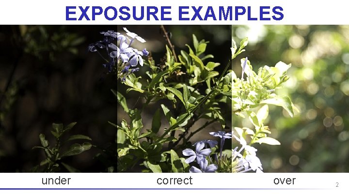 EXPOSURE EXAMPLES under correct over 2 