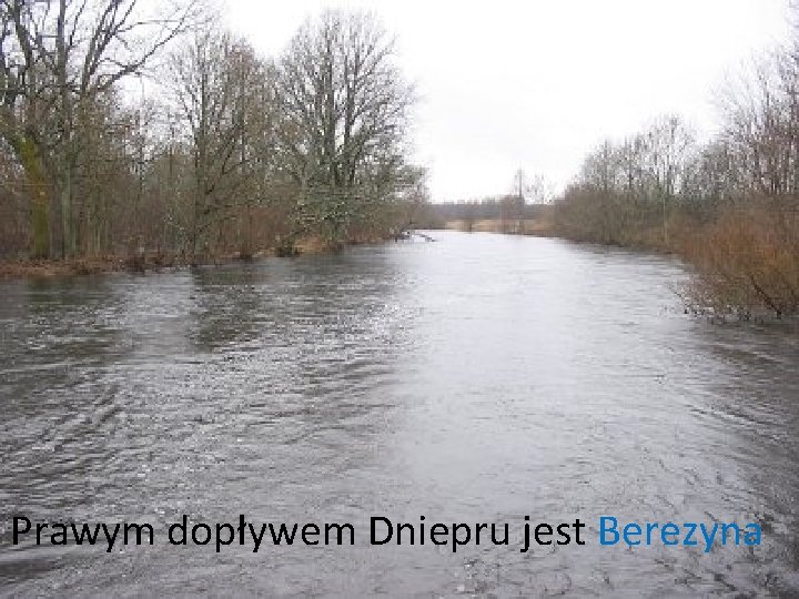 Prawym dopływem Dniepru jest Berezyna 