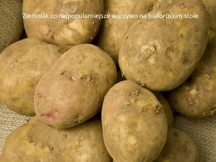 Ziemniak to najpopularniejsze warzywo na białoruskim stole 