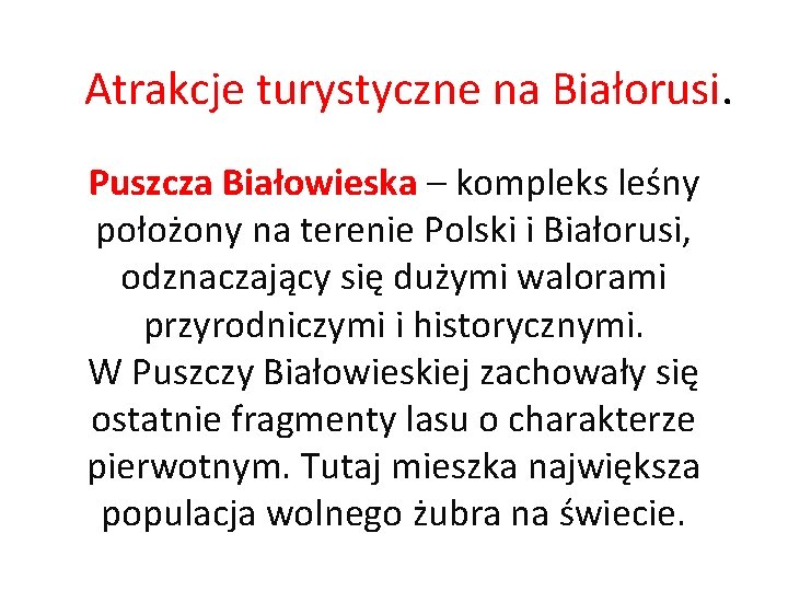 Atrakcje turystyczne na Białorusi. Puszcza Białowieska – kompleks leśny położony na terenie Polski i