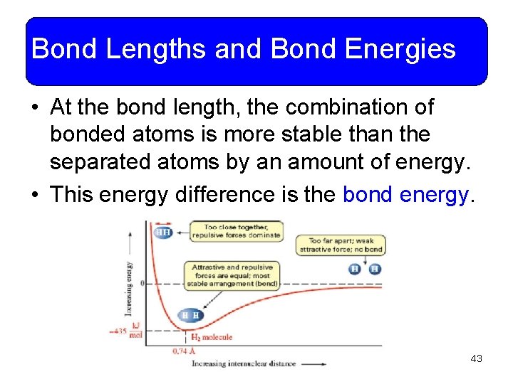 Bond Lengths and Bond Energies • At the bond length, the combination of bonded