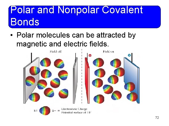 Polar and Nonpolar Covalent Bonds • Polar molecules can be attracted by magnetic and