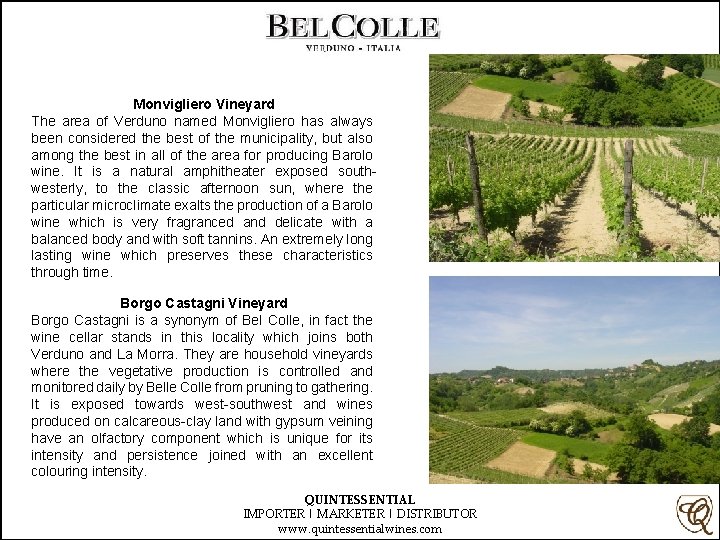 Monvigliero Vineyard The area of Verduno named Monvigliero has always been considered the best