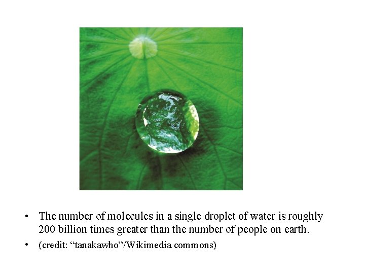  • The number of molecules in a single droplet of water is roughly