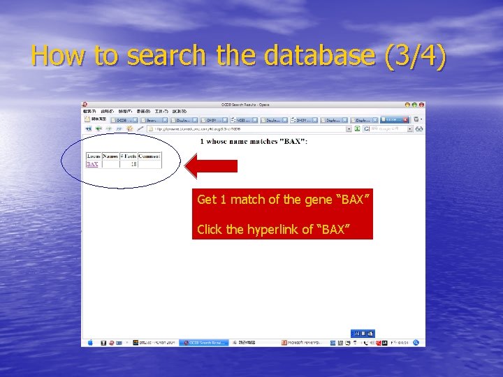 How to search the database (3/4) Get 1 match of the gene “BAX” Click