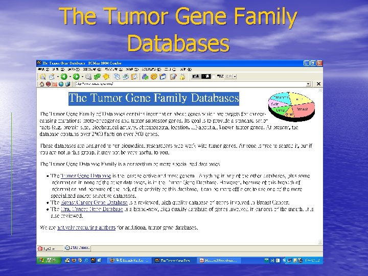 The Tumor Gene Family Databases 