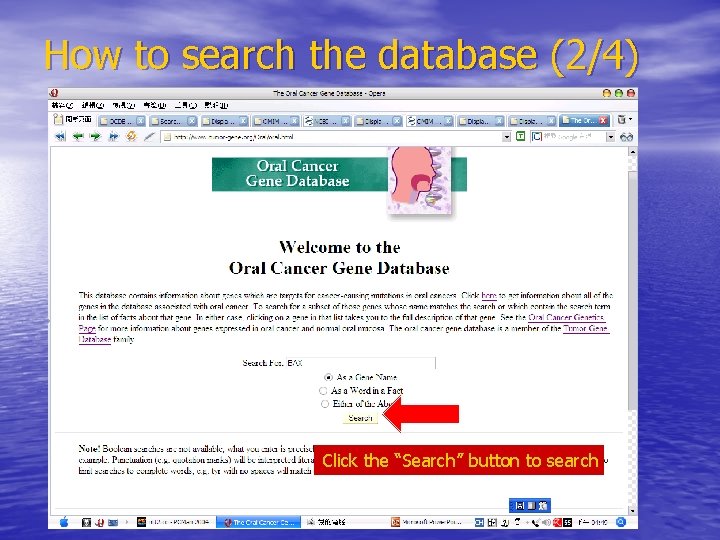 How to search the database (2/4) Click the “Search” button to search 