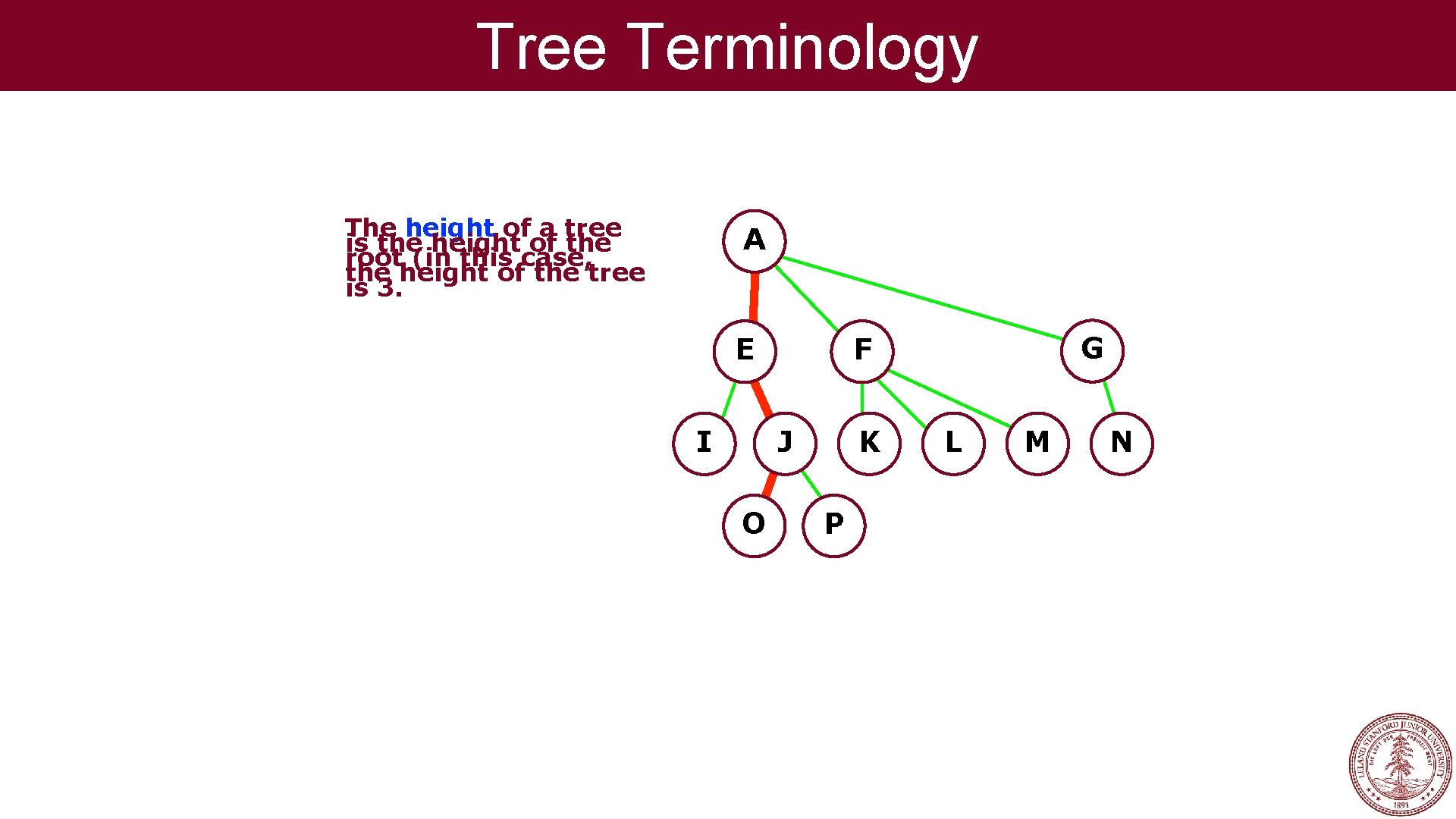Tree Terminology The height of a tree is the height of the root (in Tree Terminology The height of a tree is the height of the root (in