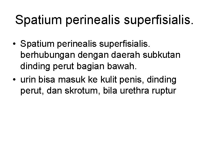 Spatium perinealis superfisialis. • Spatium perinealis superfisialis. berhubungan dengan daerah subkutan dinding perut bagian