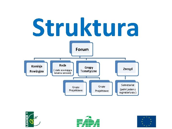 Struktura Forum Komisja Rada Rewizyjna ( ciało oceniające lokalne wnioski) Grupy Tematyczne Grupy Projektowe