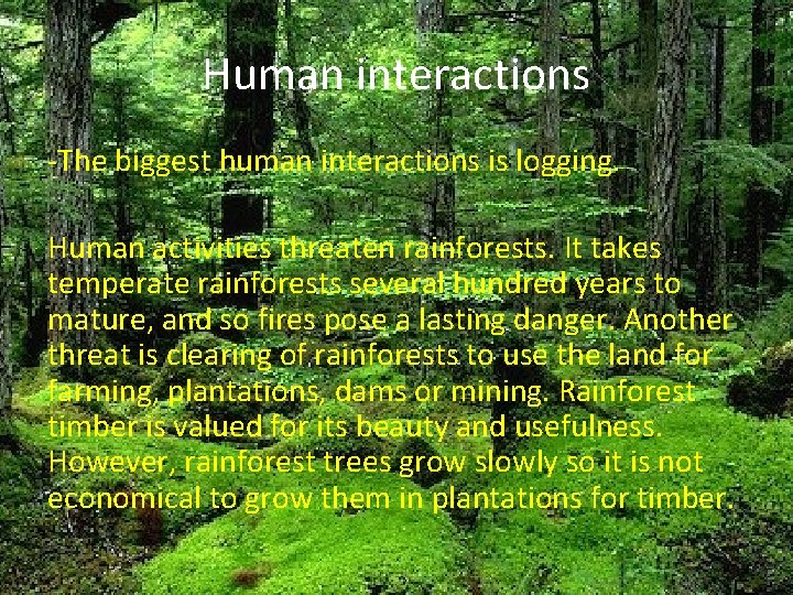 Human interactions -The biggest human interactions is logging. Human activities threaten rainforests. It takes Human interactions -The biggest human interactions is logging. Human activities threaten rainforests. It takes