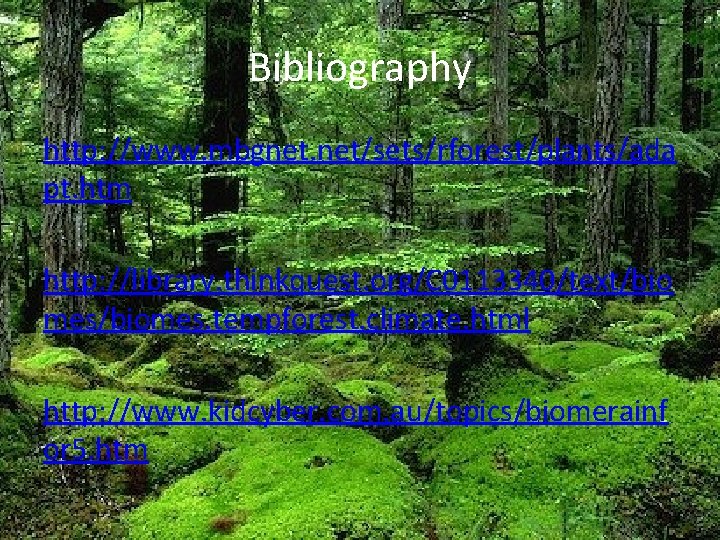 Bibliography http: //www. mbgnet. net/sets/rforest/plants/ada pt. htm http: //library. thinkquest. org/C 0113340/text/bio mes/biomes. tempforest. Bibliography http: //www. mbgnet. net/sets/rforest/plants/ada pt. htm http: //library. thinkquest. org/C 0113340/text/bio mes/biomes. tempforest.