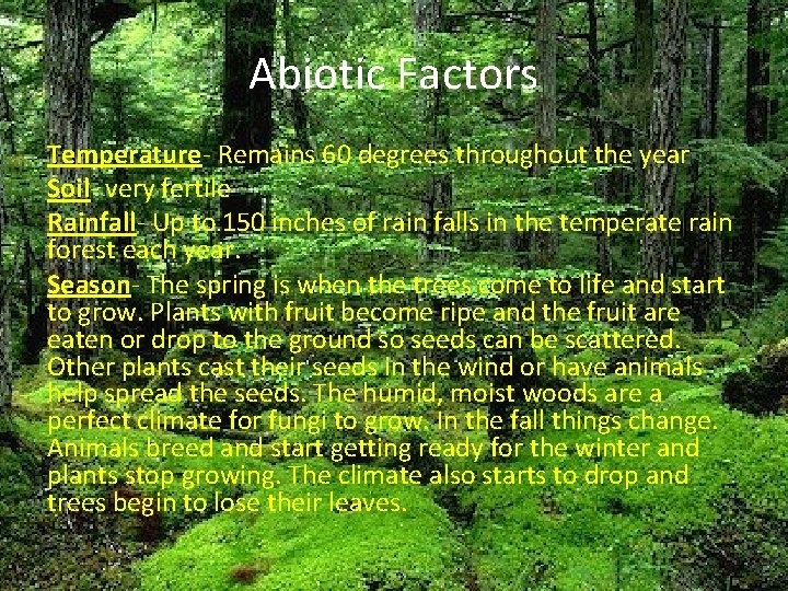 Abiotic Factors Temperature- Remains 60 degrees throughout the year Soil- very fertile Rainfall- Up Abiotic Factors Temperature- Remains 60 degrees throughout the year Soil- very fertile Rainfall- Up
