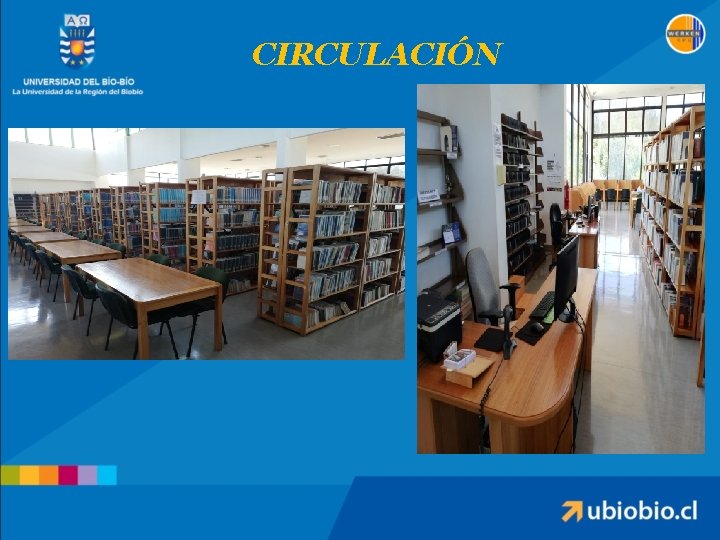 CIRCULACIÓN 