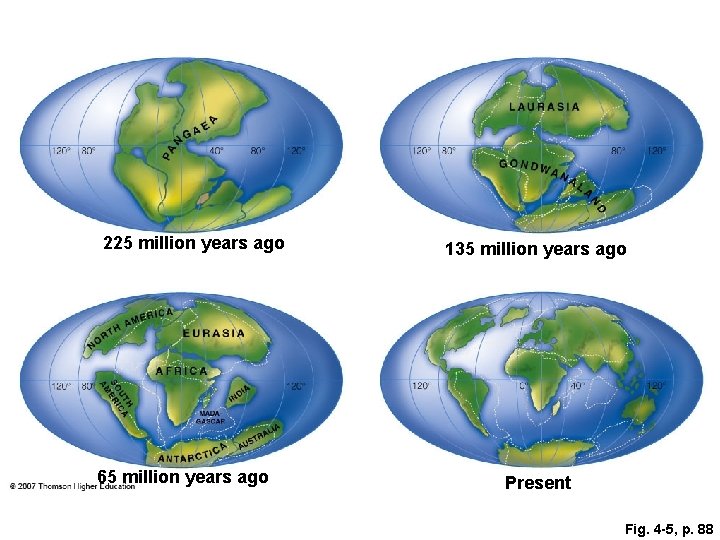 225 million years ago 65 million years ago 135 million years ago Present Fig.