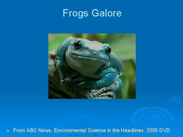 Frogs Galore Ø From ABC News, Environmental Science in the Headlines, 2005 DVD. 