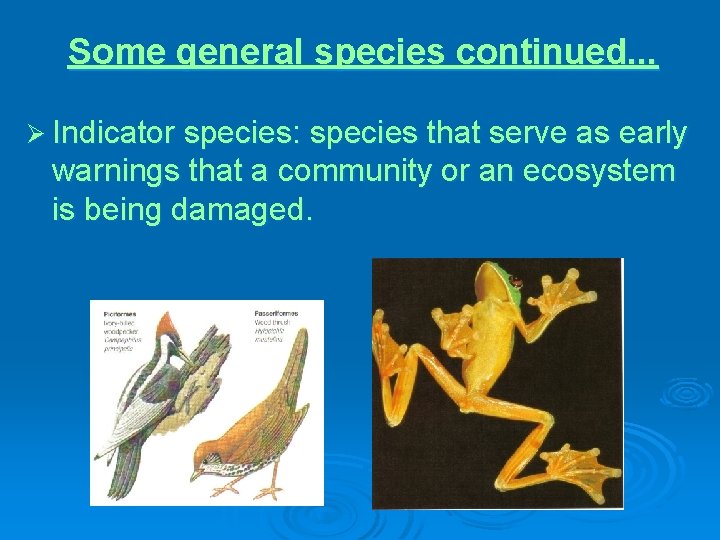 Some general species continued. . . Ø Indicator species: species that serve as early