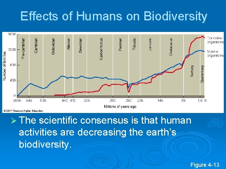 Effects of Humans on Biodiversity Ø The scientific consensus is that human activities are
