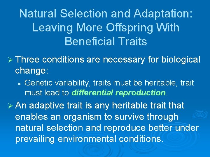 Natural Selection and Adaptation: Leaving More Offspring With Beneficial Traits Ø Three conditions are