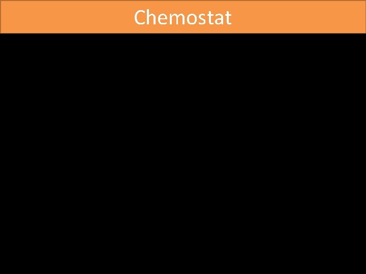 Chemostat 