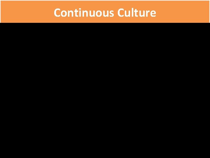 Continuous Culture 